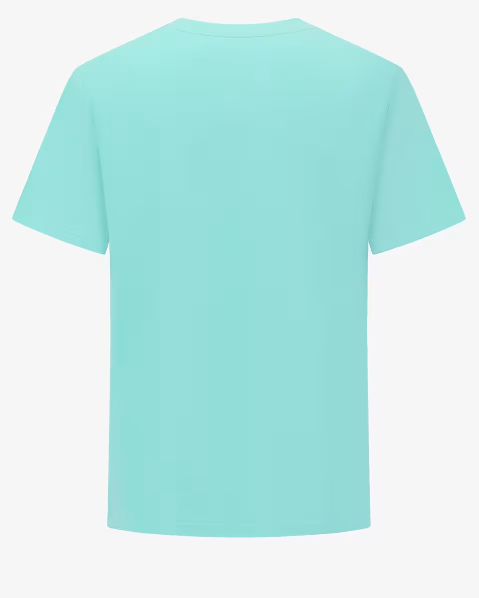 T-shirt vert d'eau Chabrand logo encadré | Lyon
